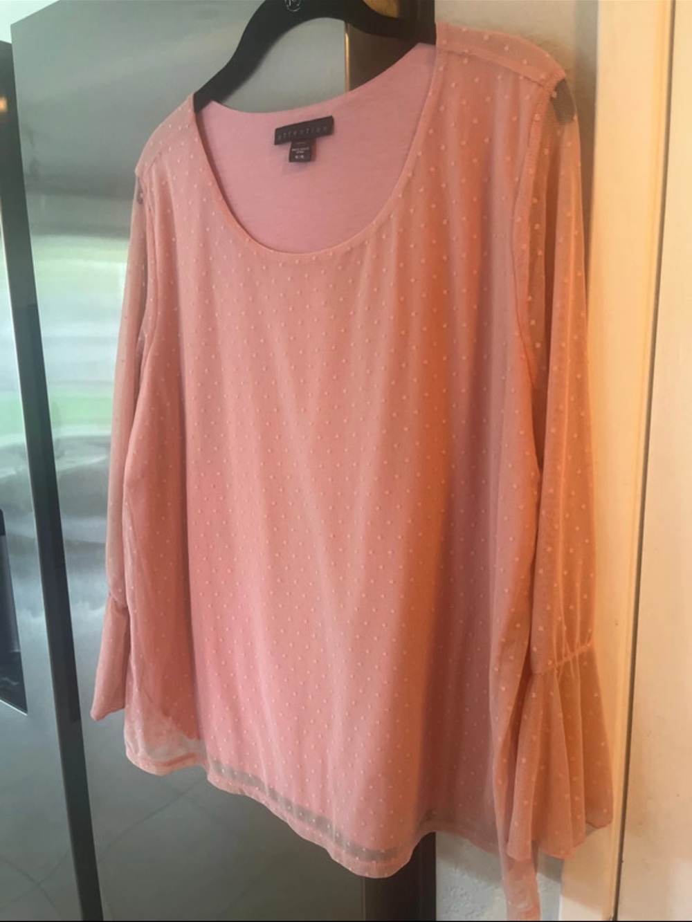 Attention Blush Pink Swiss Dot Sheer Long-Sleeve Blouse